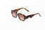 Renaissance XXI Colori 3 2